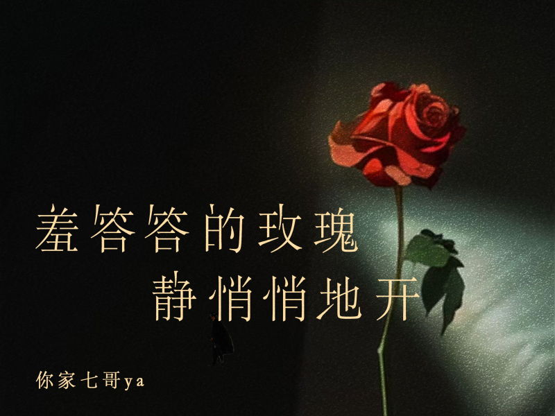 羞答答的玫瑰静悄悄地开 (DJ九零版) (Single)