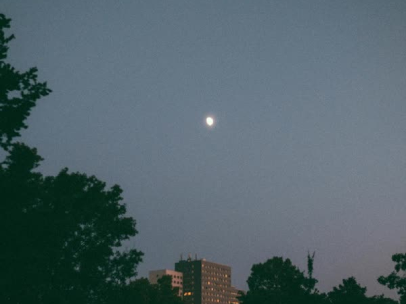 Stay Happy (feat. Boyfifty) (Single)