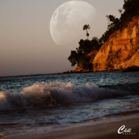 Tidal Wave | Aftermath (Single)