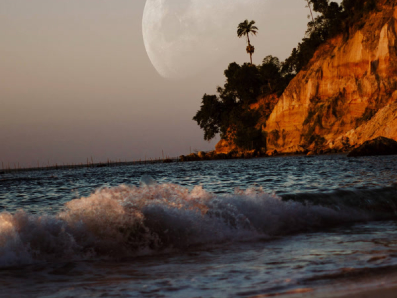 Tidal Wave | Aftermath (Single)