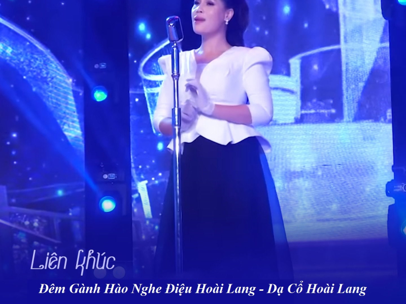 Liên Khúc Đêm Gành Hào Nghe Điệu Hoài Lang / Dạ Cổ Hoài Lang (Single)