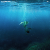 Drown (Single)