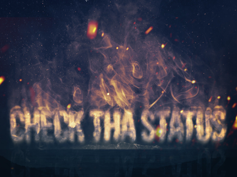 Check Tha Status (feat. Skar) (Single)