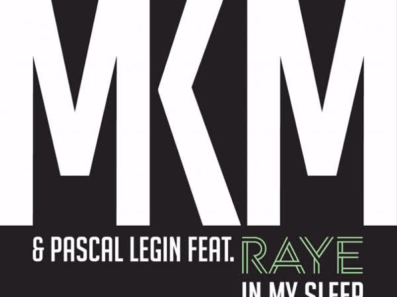 In My Sleep (feat. Raye) (Single)