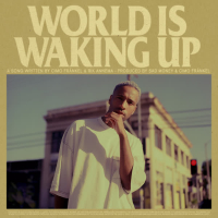 World Is Waking Up (Single)