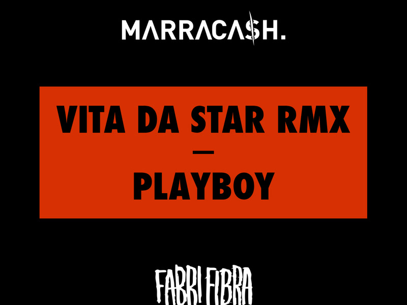 Vita Da Star RMX / Playboy (Single)