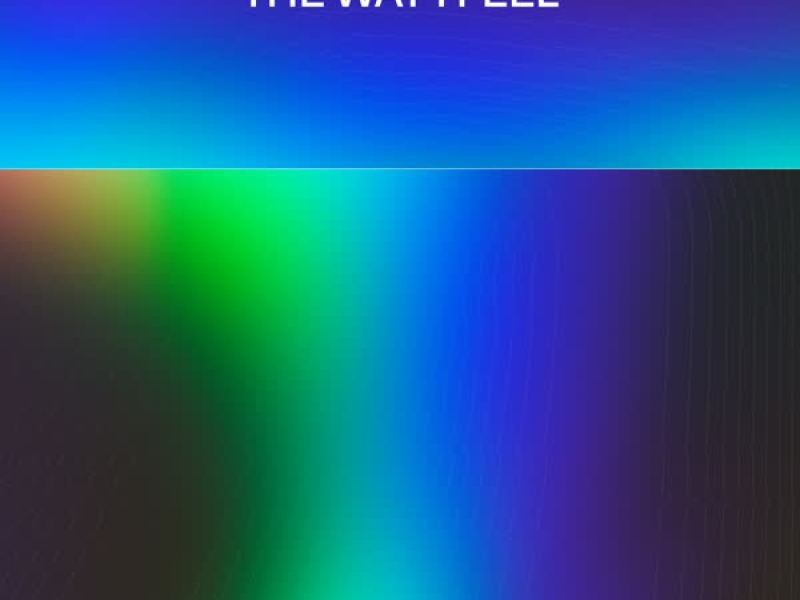 Can't Trust The Way I Feel (Single)