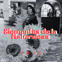 Elementos de la Naturaleza (Single)