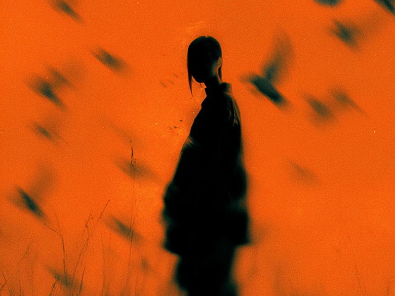 Summertime Sadness (Single)