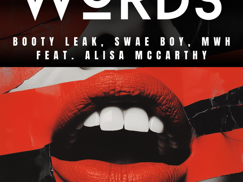 Words (feat. Alisa McCarthy) (Single)