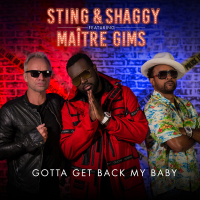 Gotta Get Back My Baby (Single)