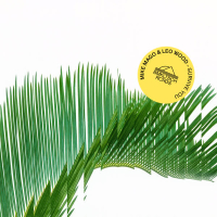 Survive You (Single)