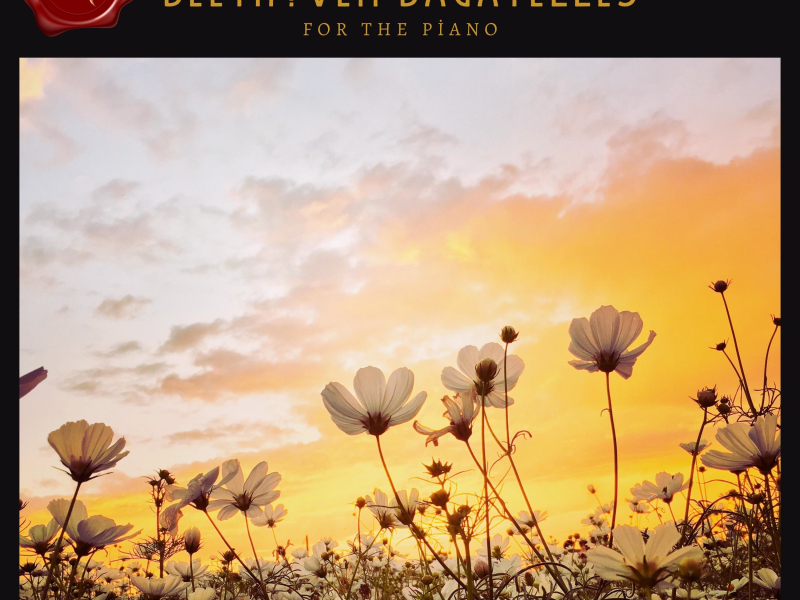 Bagatelle No. 3 in D major, Op. 119 