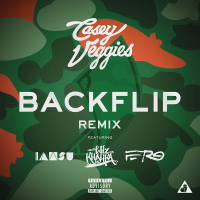 Backflip (Remix) (Single)