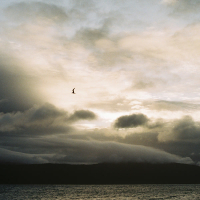 Nothing is Real (Single)