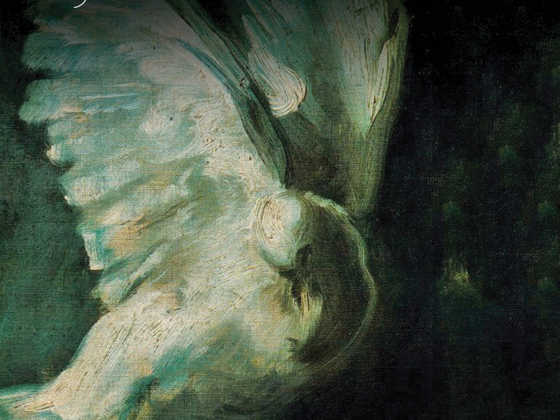 White Bird - Anthology of Favorites