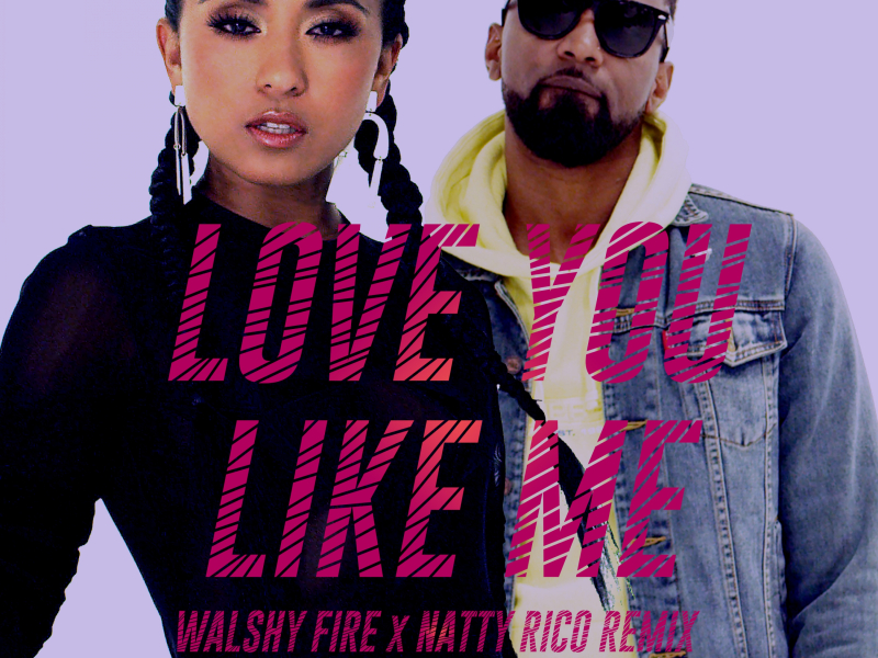 Love You Like Me (Walshy Fire & Natty Rico Remix) [feat. Konshens]