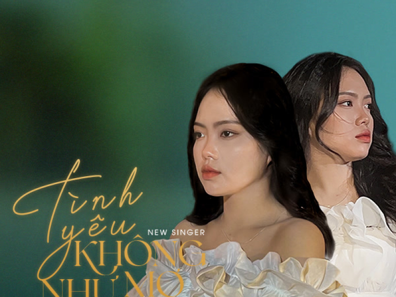 Tình Yêu Không Như Mơ (Single)