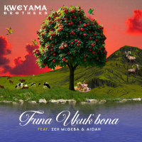 Funa Ukuk'bona (Single)
