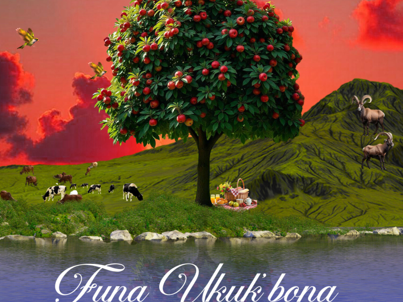 Funa Ukuk'bona (Single)