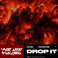 DROP IT (Single)