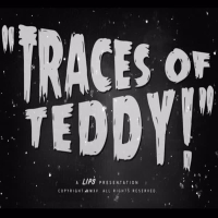 Traces of Teddy (Single)