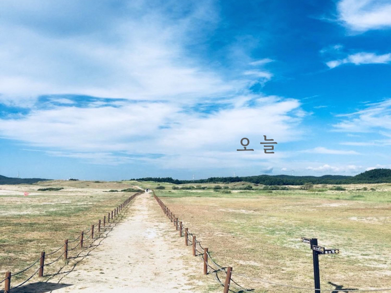 Today (Feat. Wooseok Sim) (Single)