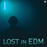 Lost In EDM (Single)