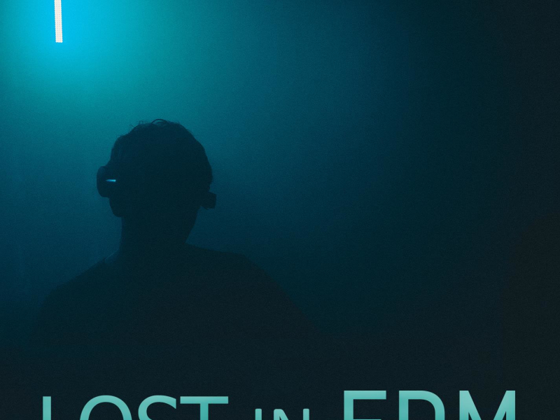 Lost In EDM (Single)