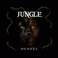 Jungle (Single)
