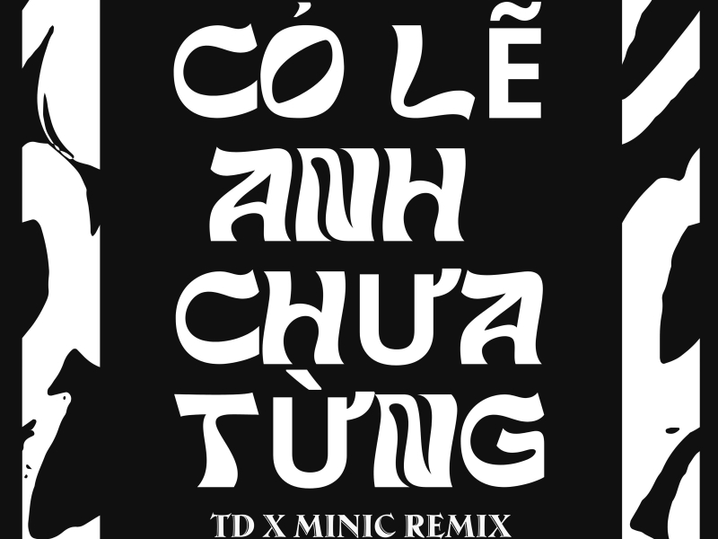 Có Lẽ Anh Chưa Từng (TD x MiniC Remix) (Single)