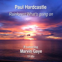 Rainforest/What's Going On (feat. Marvin Gaye) [19 Mix] (Single)