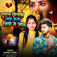 Tutal Dilwa Leke Kaise Jiyo Ge Jaan (Single)