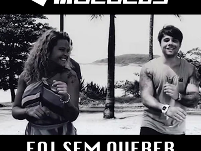 Foi Sem Querer (Single)