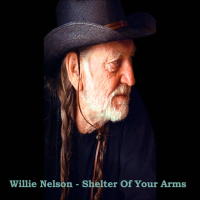 Shelter Of Your Arms (Single)