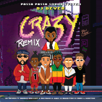 Crazy (Remix) (Single)