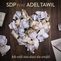 Ich will nur dass du weißt (Single)