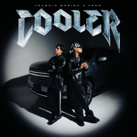 Cooler (Single)