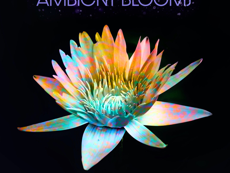 Ambient Blooms