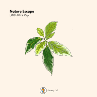Nature Escape (Single)