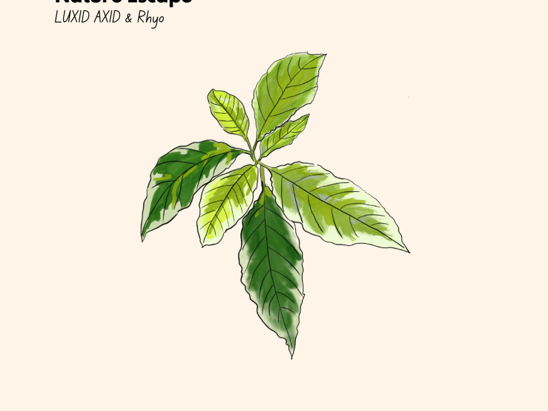 Nature Escape (Single)