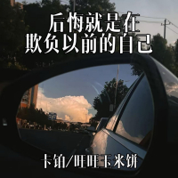 后悔就是在欺负以前的自己 (Single)