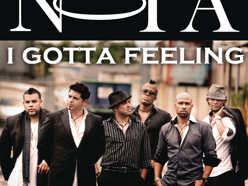 I Gotta Feeling (Album Version)