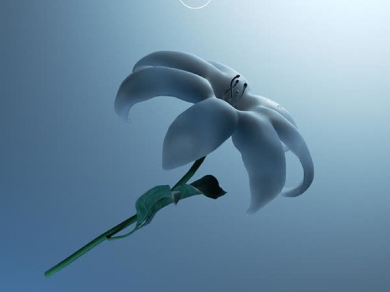 Youth (K?d Remix) (Single)