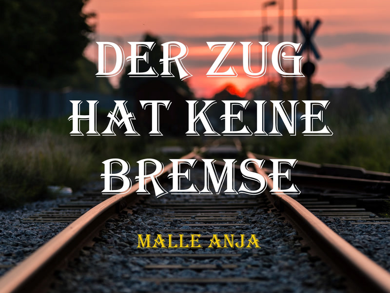 Der Zug hat keine Bremse (Radio Edit) (Single)