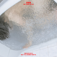 Don't Wanna Lose You (Single)