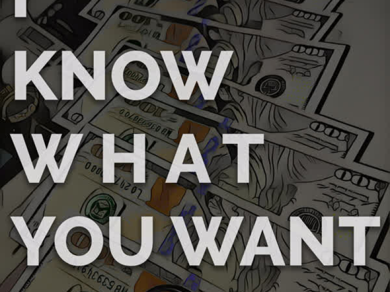 I Know What You Want (Single)