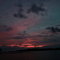 Starry Night (Single)