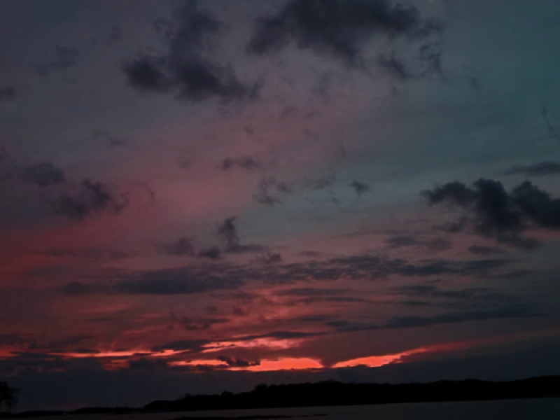 Starry Night (Single)