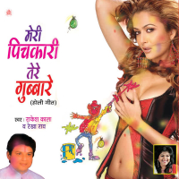 Meri Pichkari Tere Gubbare